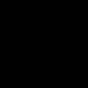 Meet your Posher, Dillon